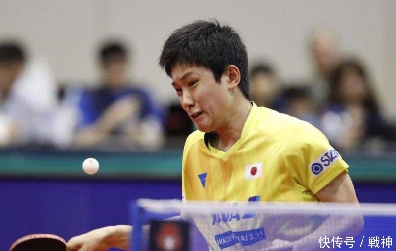 欧洲高拦网 欧洲高拦网